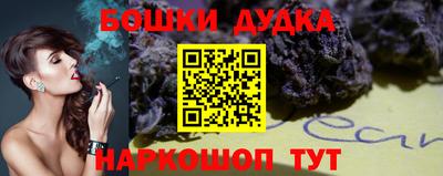 МДПВ Новокубанск