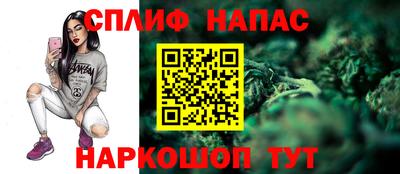 МДПВ Новокубанск