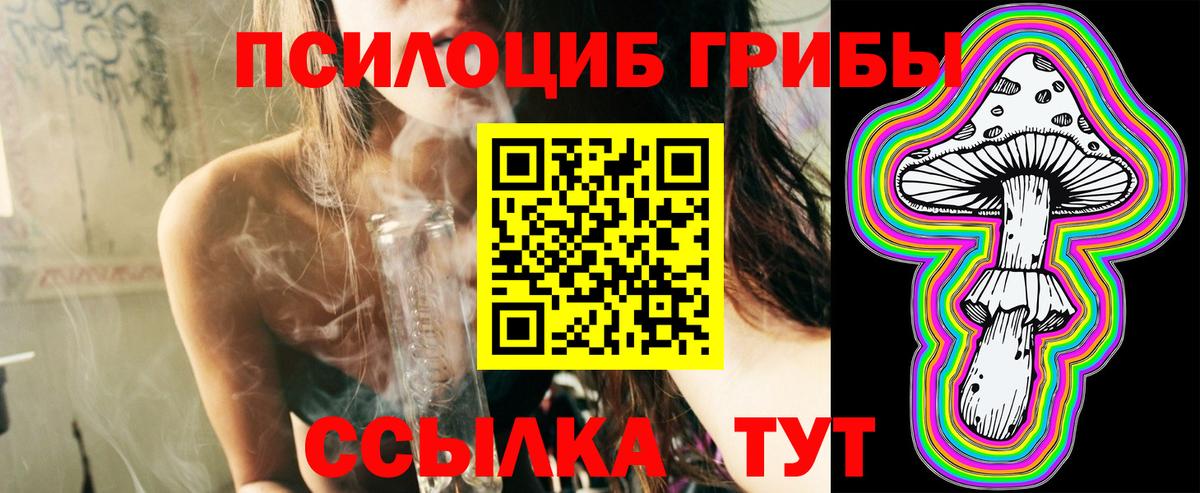 Серов  Псилоцибиновые грибы Cubensis  Вход с VPN 